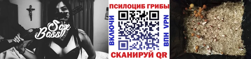 Псилоцибиновые грибы Psilocybine cubensis  Питкяранта 